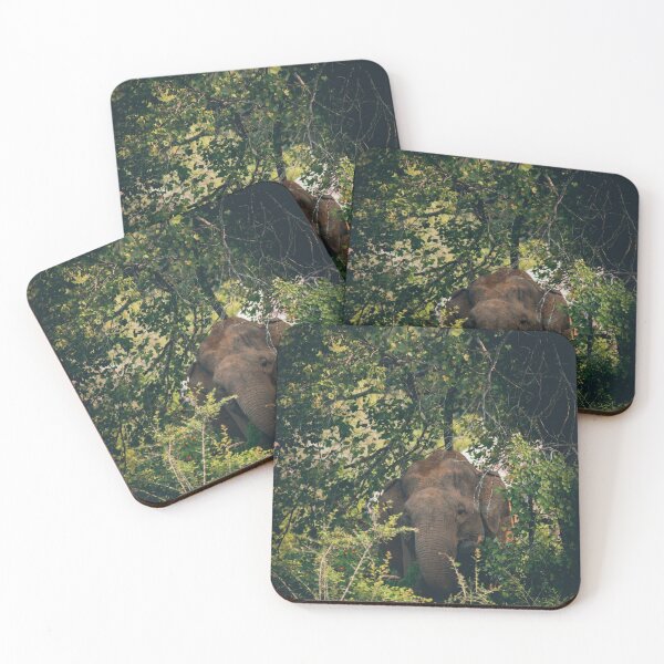 Item preview, Elephant in wild designed and sold by kasthu.