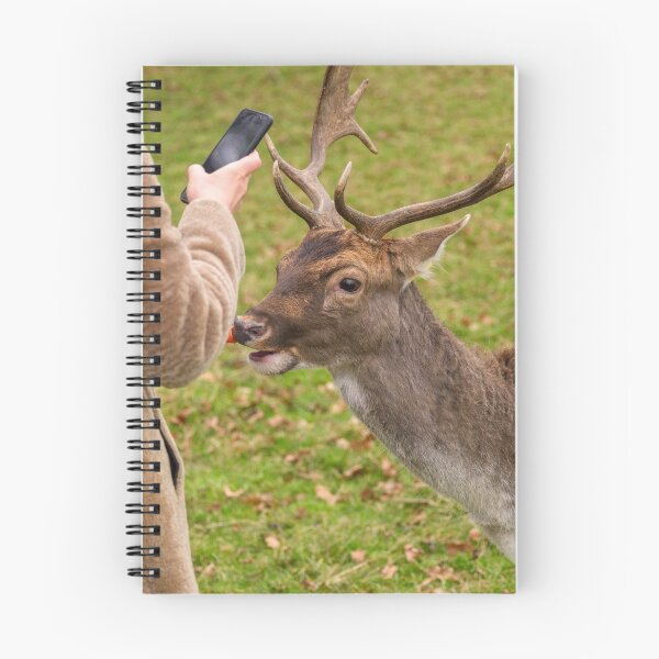 Item preview, A woman is photographing a portrait of a friendly deer in Phoenix Park, Dublin, Ireland designed and sold by AlbertMi.