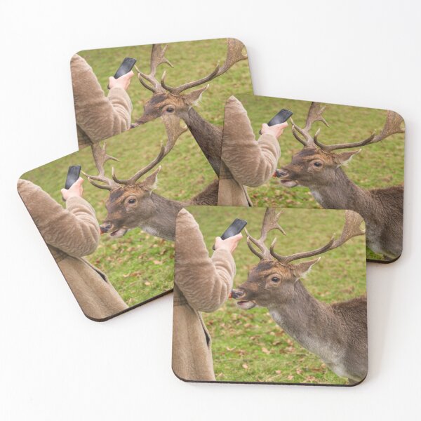 Item preview, A woman is photographing a portrait of a friendly deer in Phoenix Park, Dublin, Ireland designed and sold by AlbertMi.