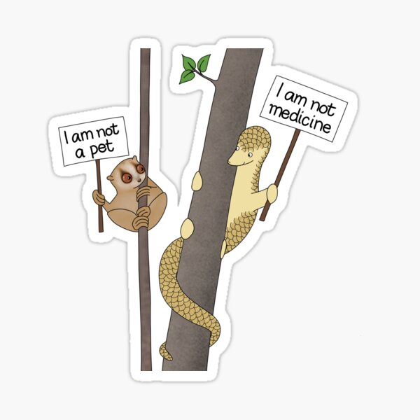 Slow loris and pangolin Sticker