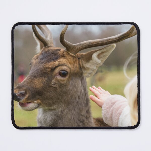 Item preview, Blonde girl playing with a friendly deer in Phoenix Park, Dublin, Ireland designed and sold by AlbertMi.