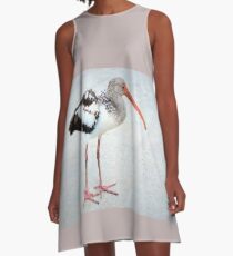 Juvenile white ibis A-Line Dress