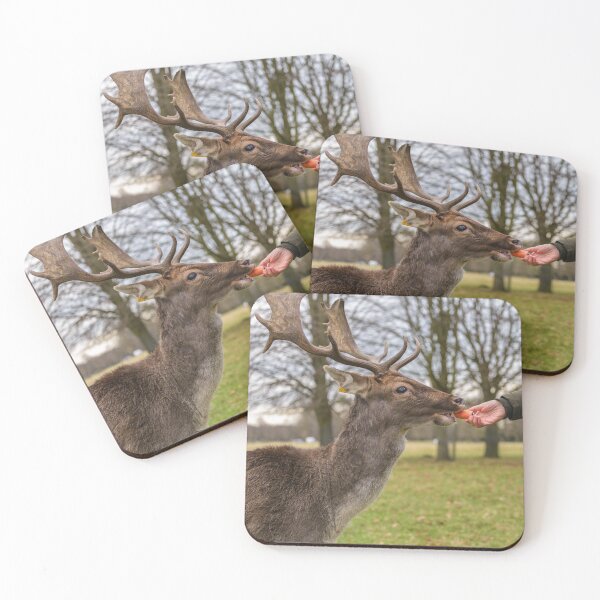 Item preview, The woman feeds the deer in Phoenix Park, Dublin, Ireland designed and sold by AlbertMi.