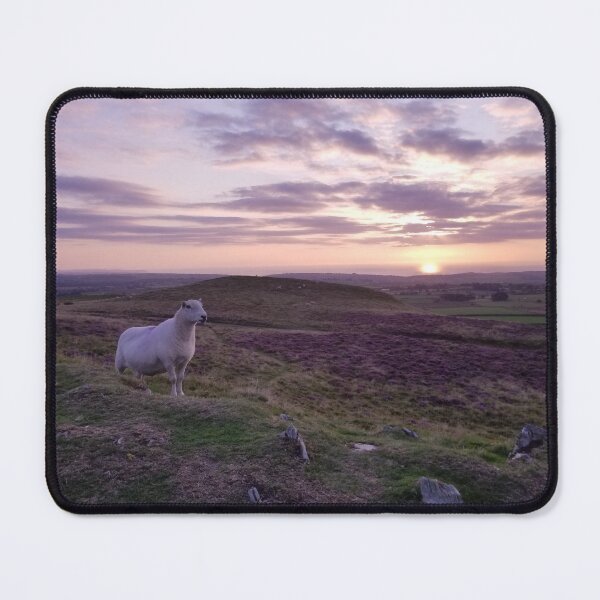 Item preview, Enjoying the welsh countryside at sunset with a sheep designed and sold by Sophieart70.