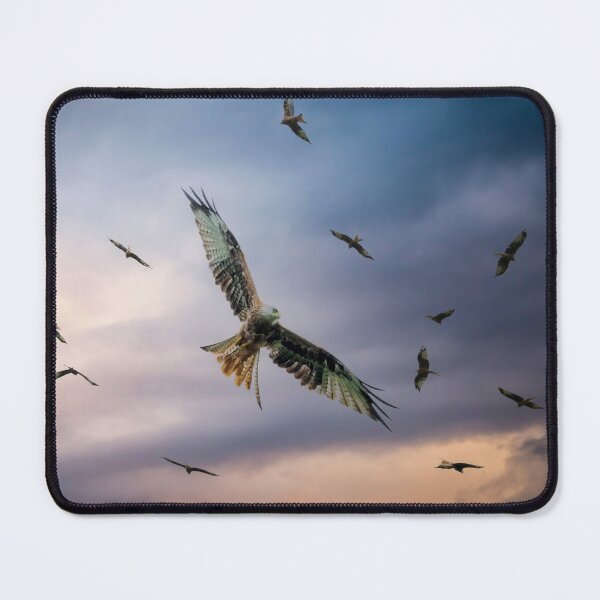 Item preview, Red Kite feeding time designed and sold by Leighton Collins.