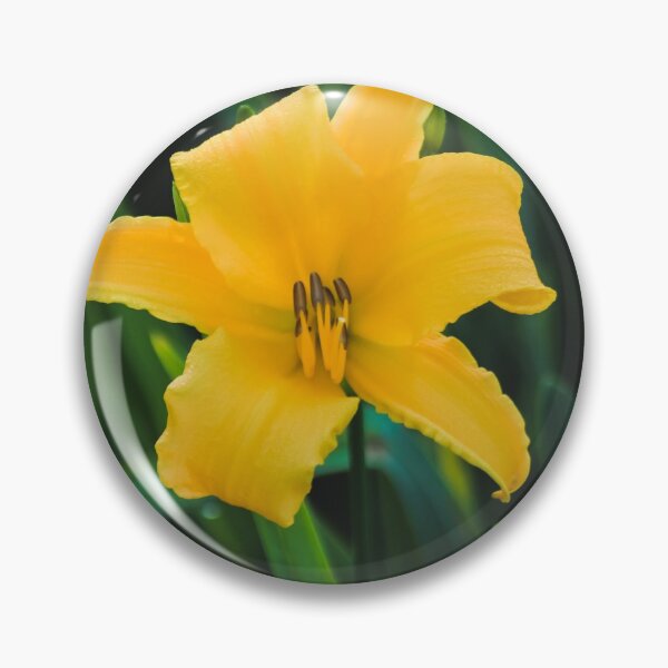 Item preview, Yellow Lily designed and sold by kasthu.