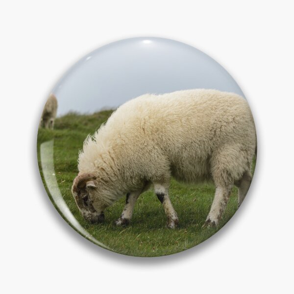 Item preview, Sheep graze on the meadows of the Irish Dingle Peninsula designed and sold by AlbertMi.