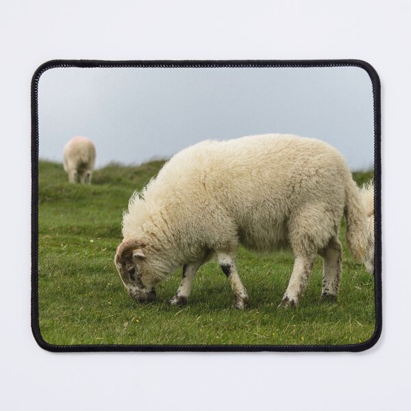 Item preview, Sheep graze on the meadows of the Irish Dingle Peninsula designed and sold by AlbertMi.