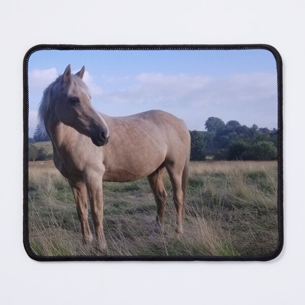 Item preview, Palomino surveying her surroundings designed and sold by Sophieart70.