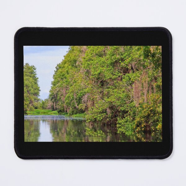 Item preview, Colorful Swamp Waterway designed and sold by KbytesOfJax Outdoor and Nature.