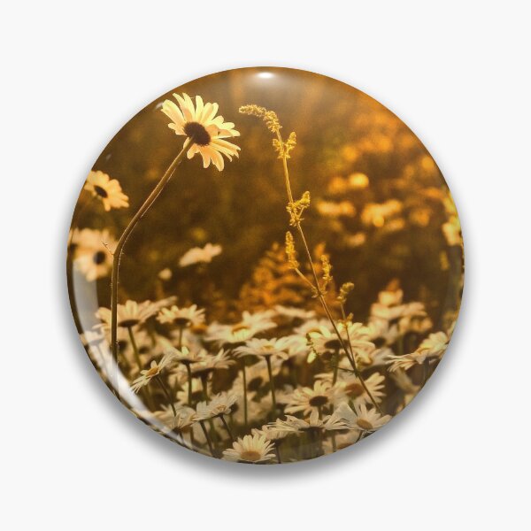 Item preview, Daises at Sunset designed and sold by spcphotography.