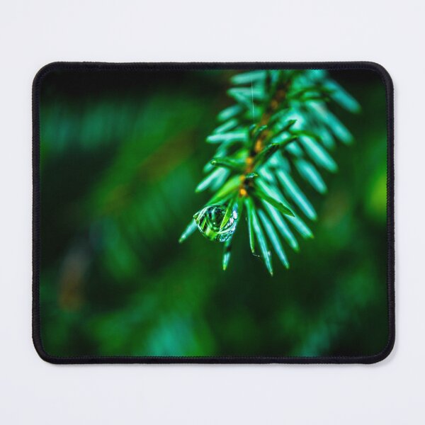 Item preview, Close up photo of a drop of water with reflections on a pine branch in an Irish forest park designed and sold by AlbertMi.