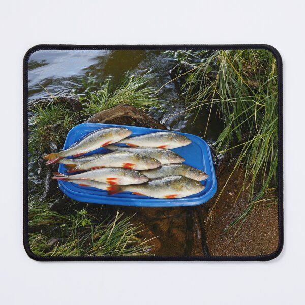 Item preview, successful bass fishing designed and sold by mrivserg.