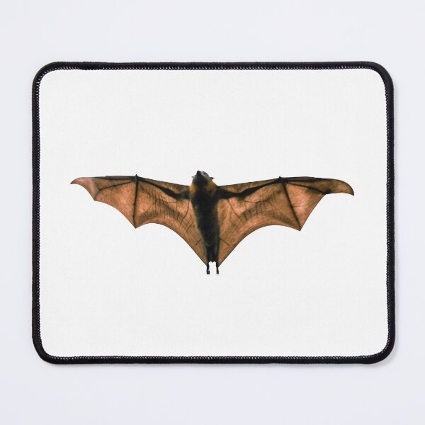 Item preview, Flying Fox in Flight - Spooky Halloween Bat Artwork designed and sold by mariagram17.