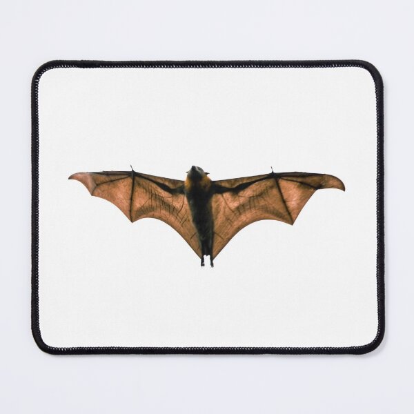 Item preview, Flying Fox in Flight Bat Artwork designed and sold by mariagram17.
