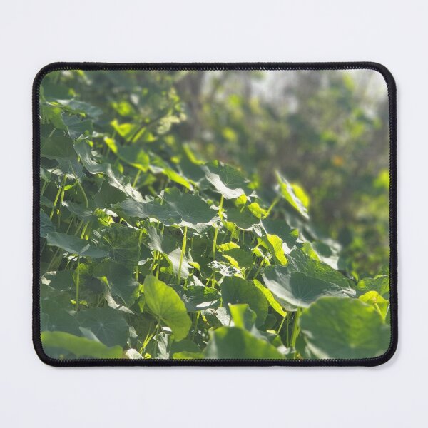 Item preview, Green meadows designed and sold by Stratoguayota.