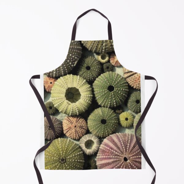 Item preview, Sea, seashell designed and sold by Furtecin.