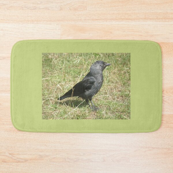 Item preview, Western Jackdaw in the Sunshine Photograph designed and sold by naturegallery.