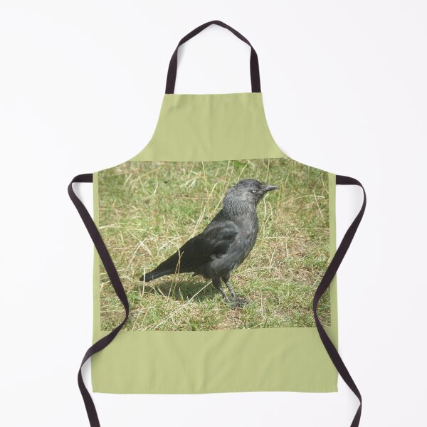 Item preview, Western Jackdaw in the Sunshine Photograph designed and sold by naturegallery.
