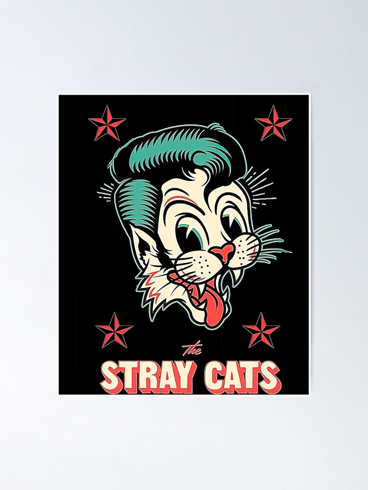 STRAY CATS