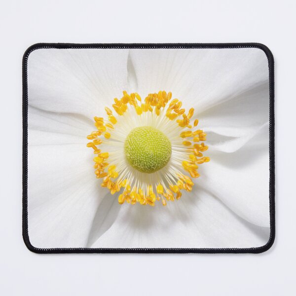 Item preview, Flower blossom - Thimbleweed (Anemone virginiana) designed and sold by alieksia.