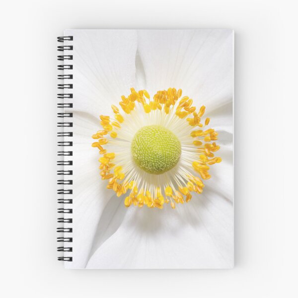 Item preview, Flower blossom - Thimbleweed (Anemone virginiana) designed and sold by alieksia.