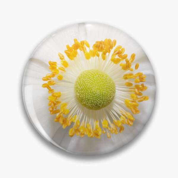 Item preview, Flower blossom - Thimbleweed (Anemone virginiana) designed and sold by alieksia.