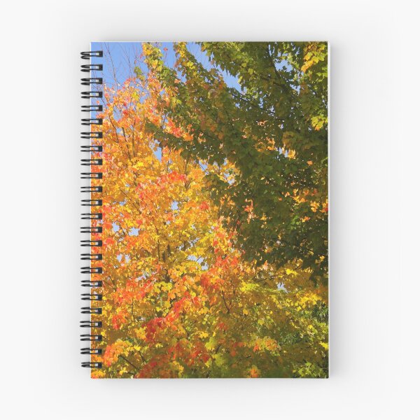 Item preview, First Autumn Smile designed and sold by Gilberte.