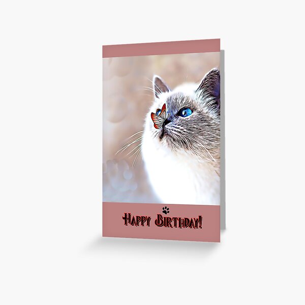 Geburtstagskarte Karte Postkarte Grußkarte BKH-Katze Kätzchen "Happy Birthday!" 