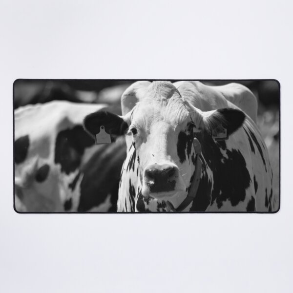 Portrait of a cow Desk Mat