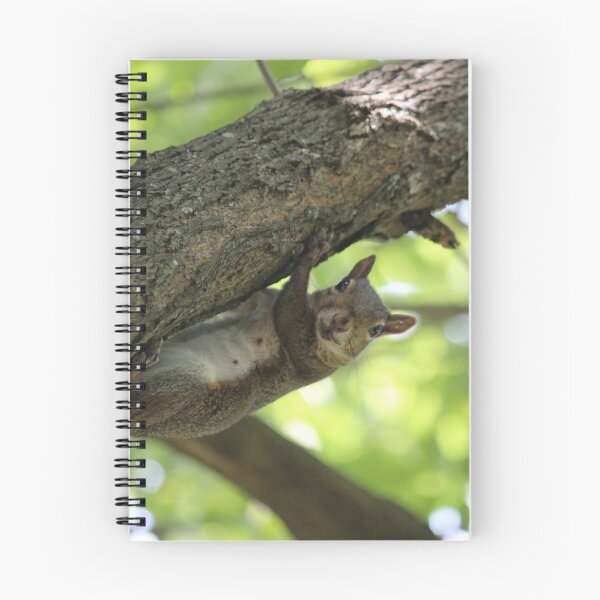 Item preview, Funny Squirrel designed and sold by Mdillon.