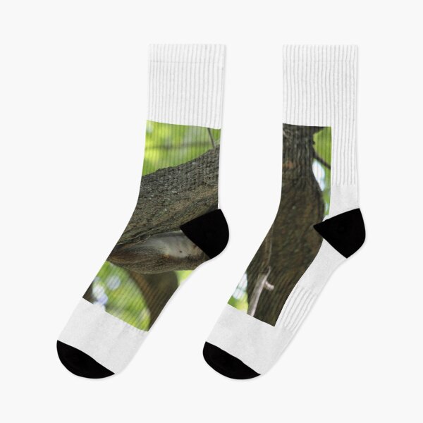 Item preview, Funny Squirrel designed and sold by Mdillon.
