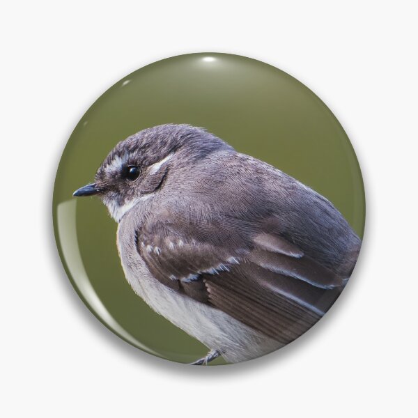 Item preview, Grey Fantail Bird Watching The Birds designed and sold by Jason Gilbert.