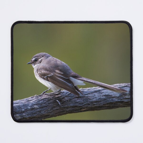 Item preview, Grey Fantail Bird Watching The Birds designed and sold by Jason Gilbert.