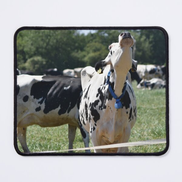 Item preview, Mooo designed and sold by gabriellaksz.