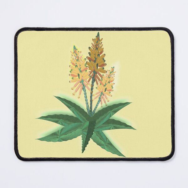 Item preview, A BITTER "ALOE- ALOE" FEROX designed and sold by sana90.