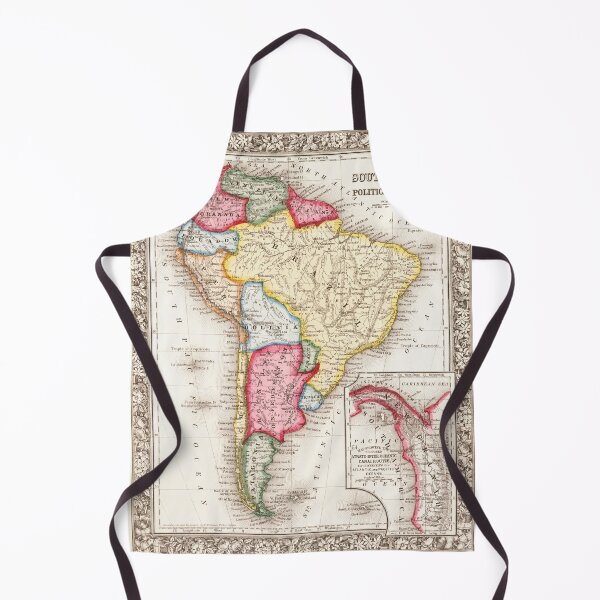 Item preview, Map of South America Political Divisions 1863 designed and sold by BeardedTree.