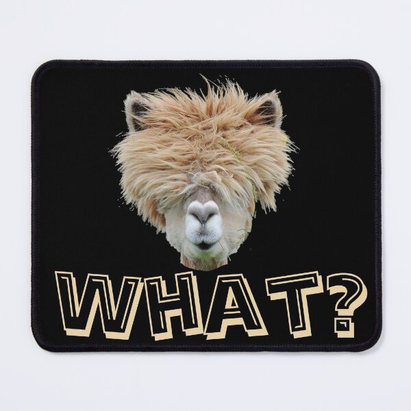 Artikelvorschau, Alpaca What? entworfen und verkauft von LuciaS.