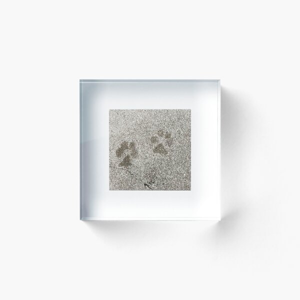 Item preview, Paws. Snapshot designed and sold by Shinzan2019.