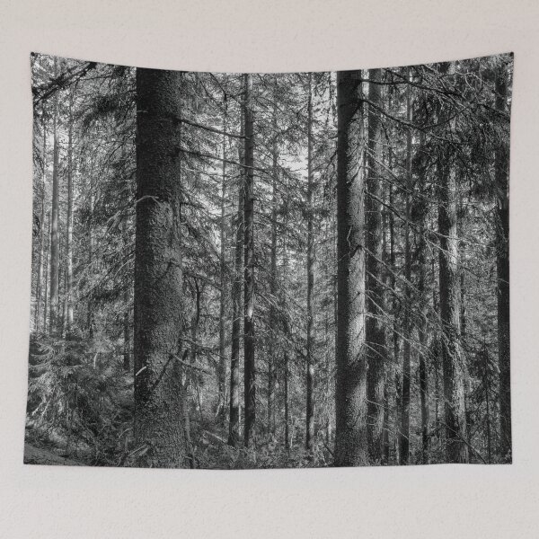 Item preview, Spruces Downhill hdr bw. Seitseminen National Park designed and sold by Jouko Lehto Photography.