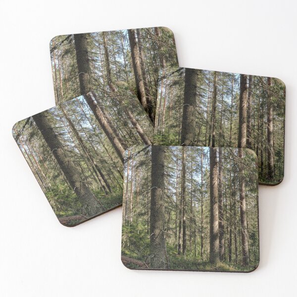Item preview, Spruces Downhill hdr color. Seitseminen National Park designed and sold by Jouko Lehto Photography.