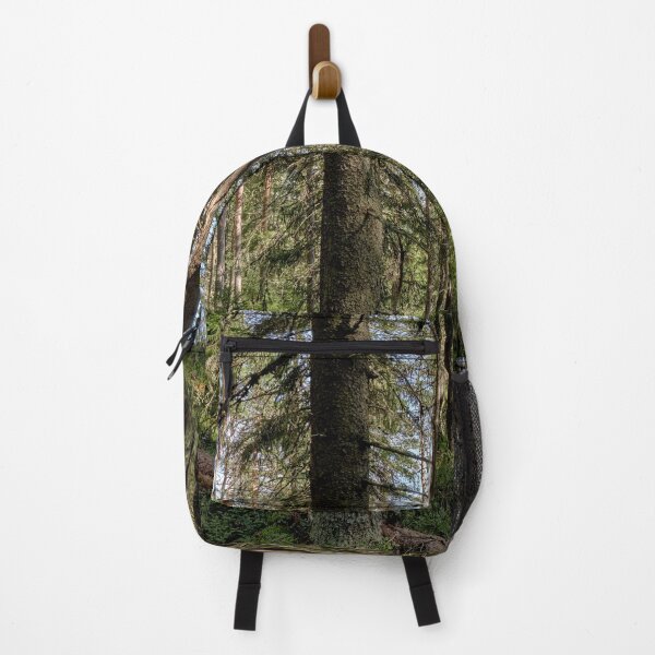 Item preview, Spruces Downhill hdr color. Seitseminen National Park designed and sold by Jouko Lehto Photography.
