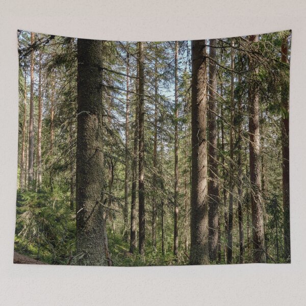 Item preview, Spruces Downhill hdr color. Seitseminen National Park designed and sold by Jouko Lehto Photography.