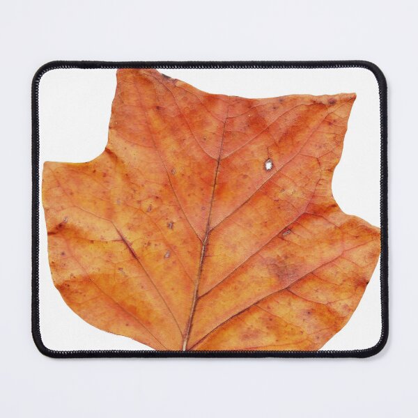 Item preview, 1 leaf in autumn designed and sold by Gourmetkater.