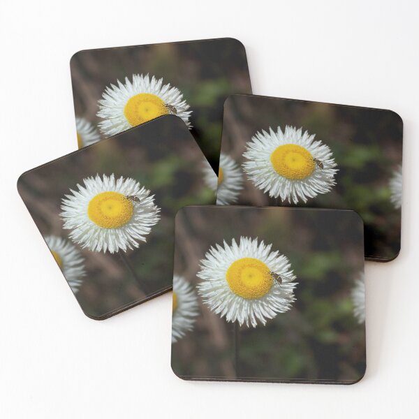 Item preview, Paper Daisy in Springtime designed and sold by Seesee.