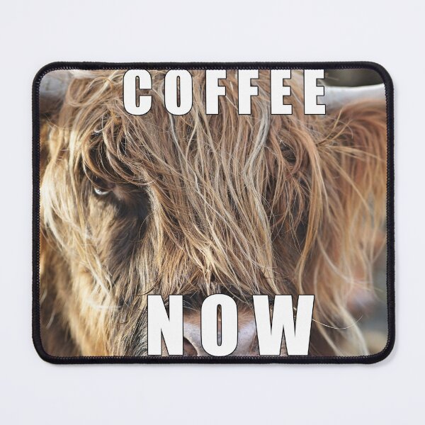Item preview, Coffee NOW Cow Photography designed and sold by modern-love-art.
