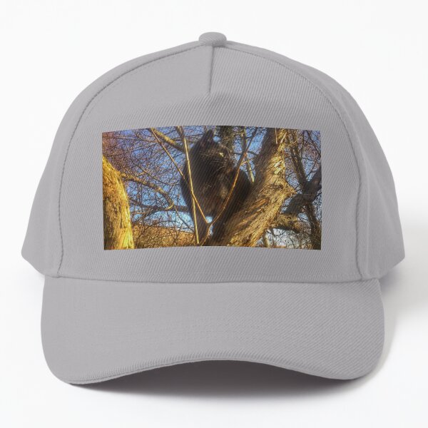 Katze Morle auf dem Flieder Baseball Cap