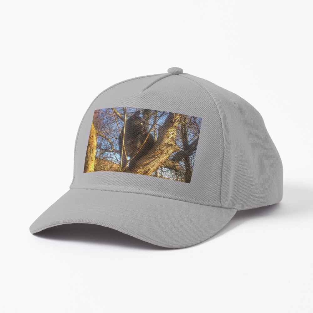 Katze Morle auf dem Flieder Cap