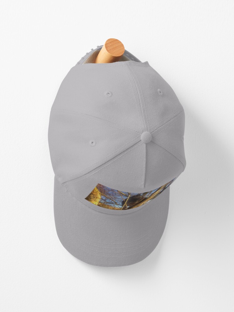Alternative Ansicht von Katze Morle auf dem Flieder Cap