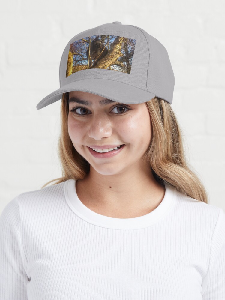 Alternative Ansicht von Katze Morle auf dem Flieder Cap